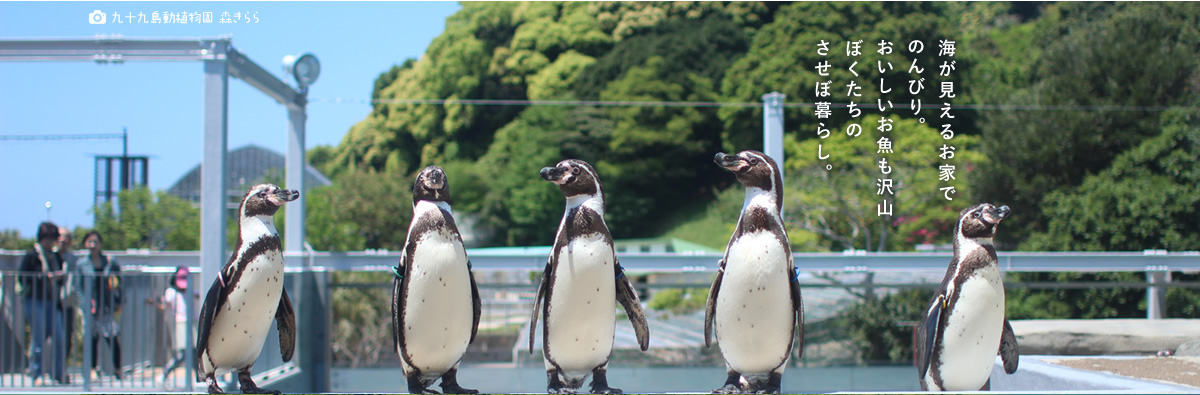 「九十九島動植物園　森きらら」海が見えるお家でのんびり。おいしいお魚も沢山。ぼくたちのさせぼ暮らし